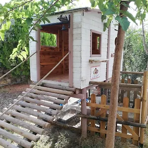 Azienda Agrituristica Le Betulle Bauernhof